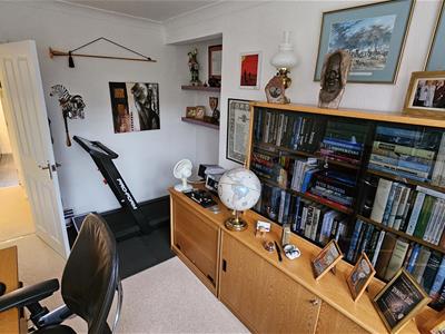 Picture 35